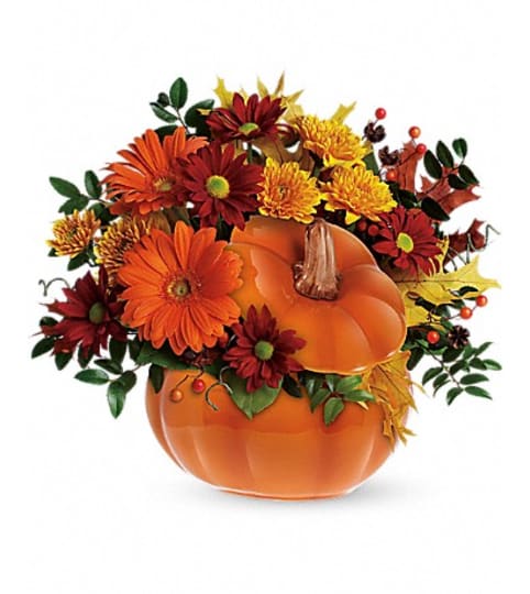 country pumpkin. An arrangement by Fine's Flowers.