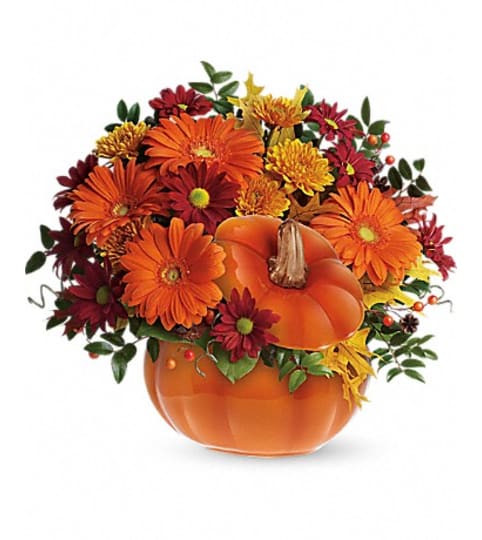 country pumpkin. An arrangement by Fine's Flowers. country pumpkin. An arrangement by Fine's Flowers.