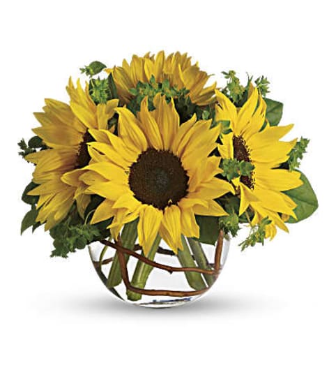 Sunny Sunflowers Bqt. An arrangement by Fine's Flowers.