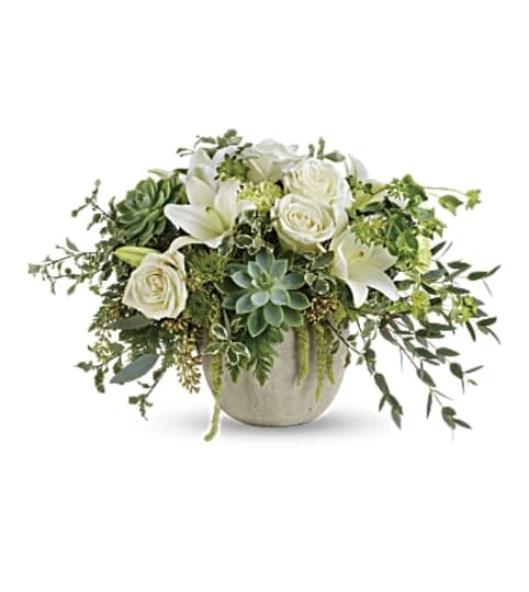 Flourishing Beauty. An arrangement by Fine's Flowers. Flourishing Beauty. An arrangement by Fine's Flowers.