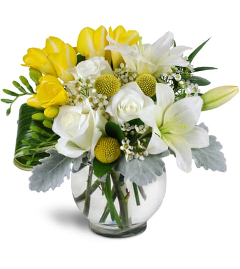 Soothing Blooms™. An arrangement by Fine's Flowers. Soothing Blooms™. An arrangement by Fine's Flowers.