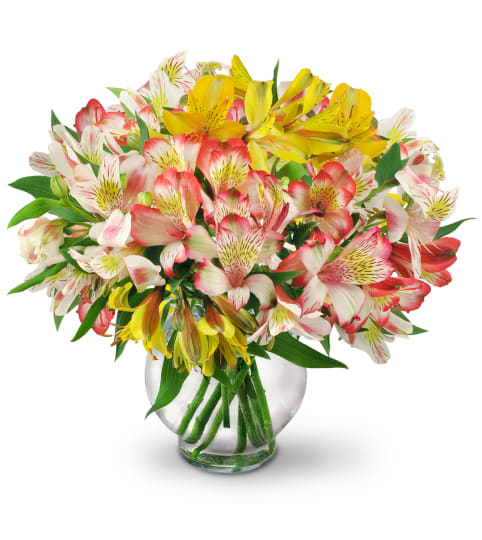 Perfect Peruvian Lilies. An arrangement by Fine's Flowers. Perfect Peruvian Lilies. An arrangement by Fine's Flowers.