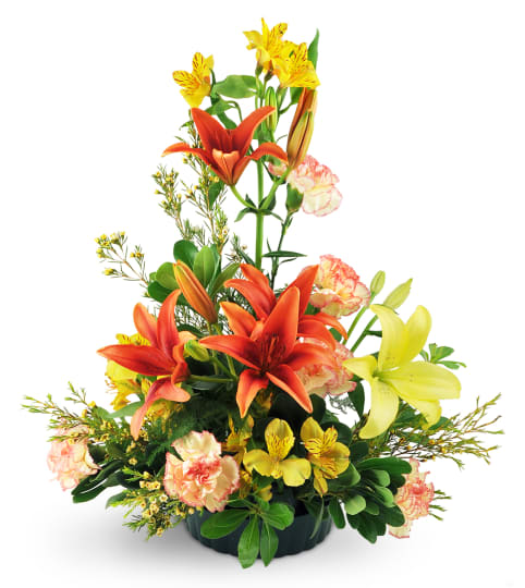 Among The Stars. An arrangement by Fine's Flowers. Among The Stars. An arrangement by Fine's Flowers.