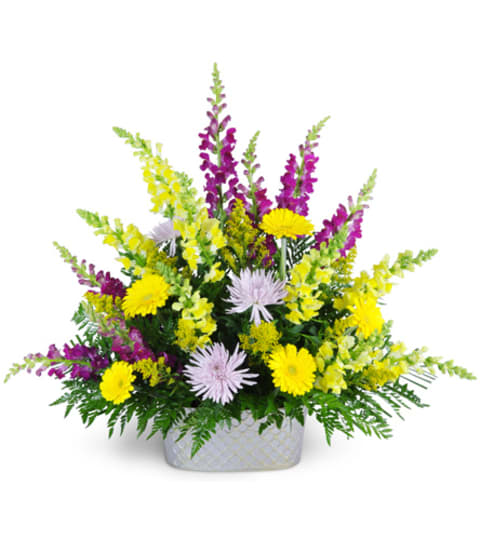 Into Open Arms. An arrangement by Fine's Flowers. Into Open Arms. An arrangement by Fine's Flowers.