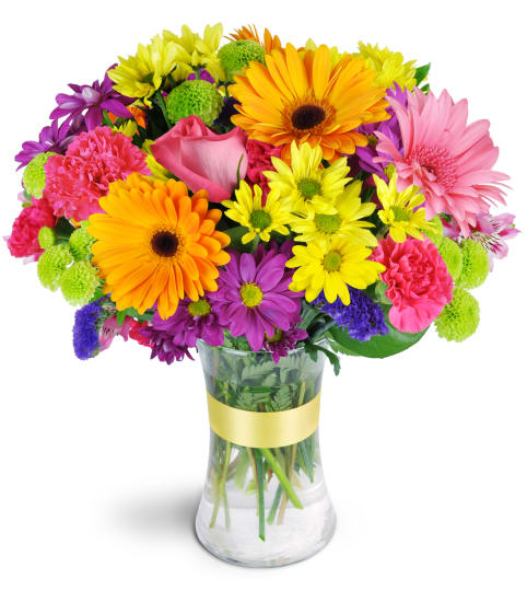 Radiant Rainbow™. An arrangement by Fine's Flowers. Radiant Rainbow™. An arrangement by Fine's Flowers.