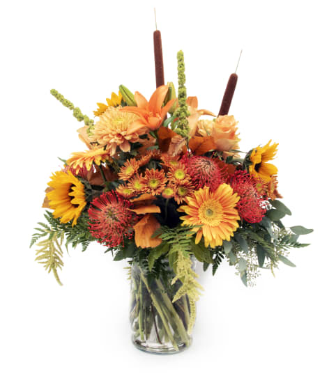 Pumpkin Spice Everything. An arrangement by Fine's Flowers. Pumpkin Spice Everything. An arrangement by Fine's Flowers.