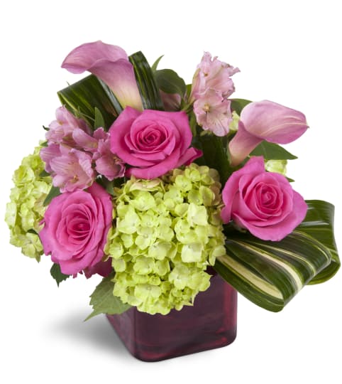 Peek of Chic™. An arrangement by Fine's Flowers. Peek of Chic™. An arrangement by Fine's Flowers.