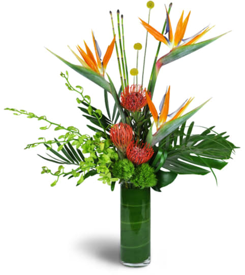 Paradise Flight™. An arrangement by Fine's Flowers. Paradise Flight™. An arrangement by Fine's Flowers.