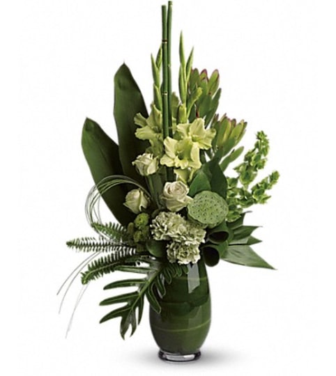 SPLASH OF LIMELIGHT BOUQUET. An arrangement by Fine's Flowers. SPLASH OF LIMELIGHT BOUQUET. An arrangement by Fine's Flowers.