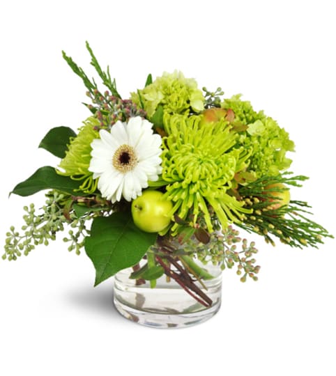 Green Christmas!™. An arrangement by Fine's Flowers.