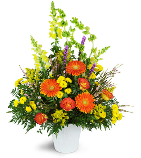 Everlasting Spirit. An arrangement by Fine's Flowers. Everlasting Spirit. An arrangement by Fine's Flowers.