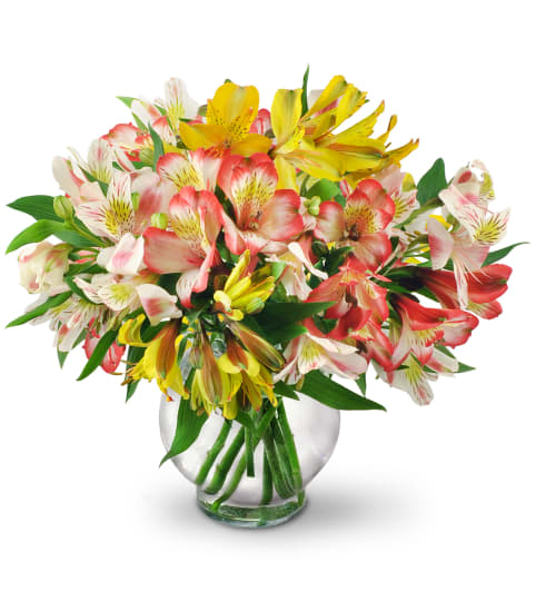 Perfect Peruvian Lilies. An arrangement by Fine's Flowers.