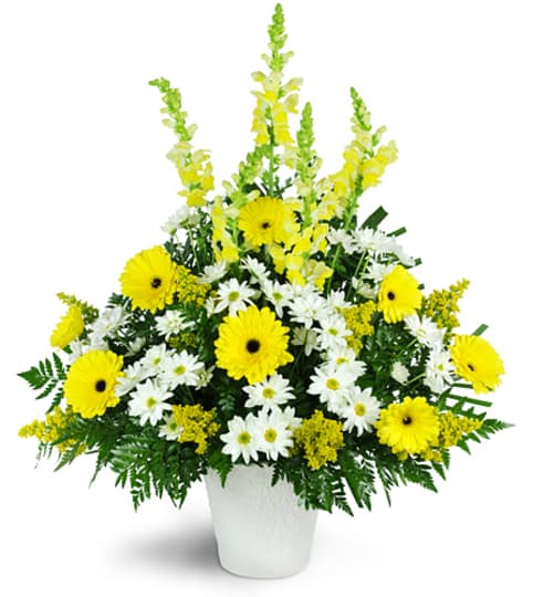 Shining Light Tribute. An arrangement by Fine's Flowers. Shining Light Tribute. An arrangement by Fine's Flowers.