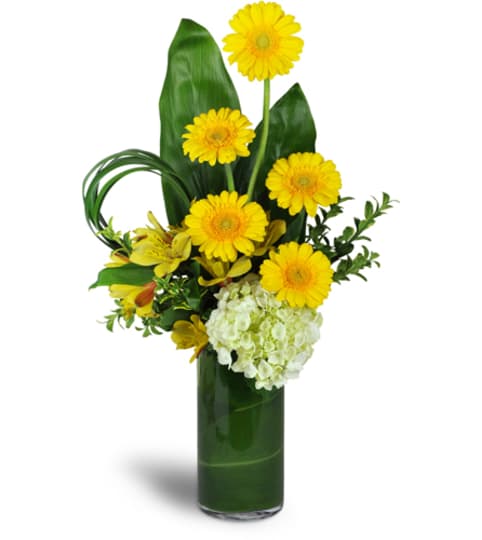 Higher and Higher Bouquet™. An arrangement by Fine's Flowers. Higher and Higher Bouquet™. An arrangement by Fine's Flowers.