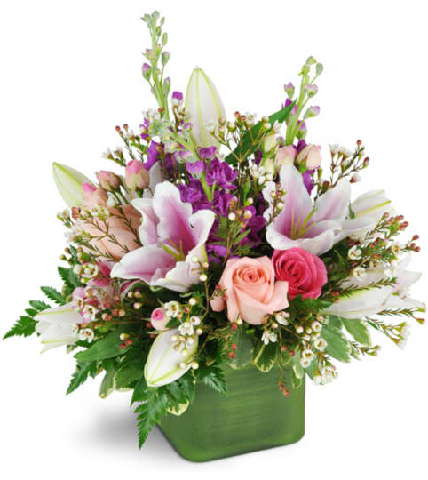 May Flowers. An arrangement by Fine's Flowers. May Flowers. An arrangement by Fine's Flowers.