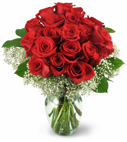 Two Dozen Red Roses. An arrangement by Fine's Flowers. Two Dozen Red Roses. An arrangement by Fine's Flowers.