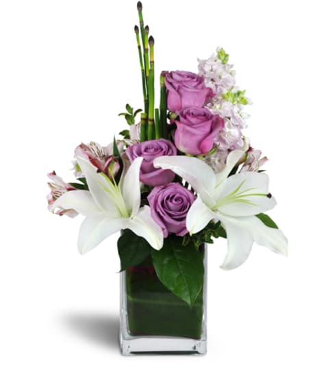 Sweetness and Grace™. An arrangement by Fine's Flowers. Sweetness and Grace™. An arrangement by Fine's Flowers.