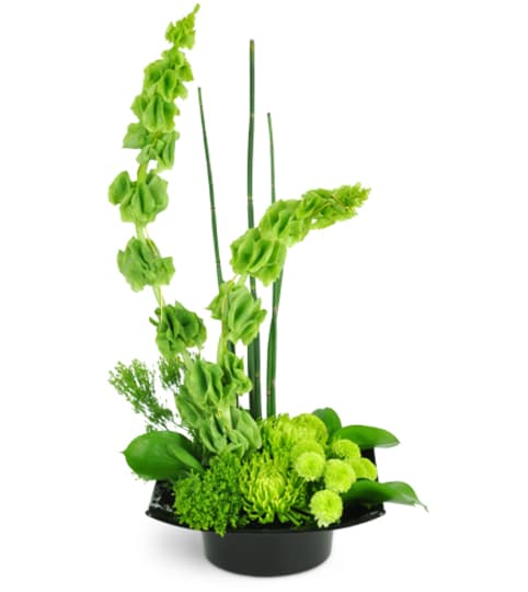 Emerald Zen. An arrangement by Fine's Flowers. Emerald Zen. An arrangement by Fine's Flowers.