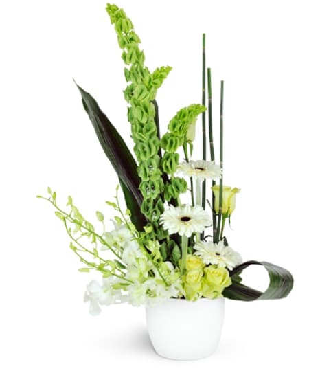 Cool Breeze. An arrangement by Fine's Flowers. Cool Breeze. An arrangement by Fine's Flowers.