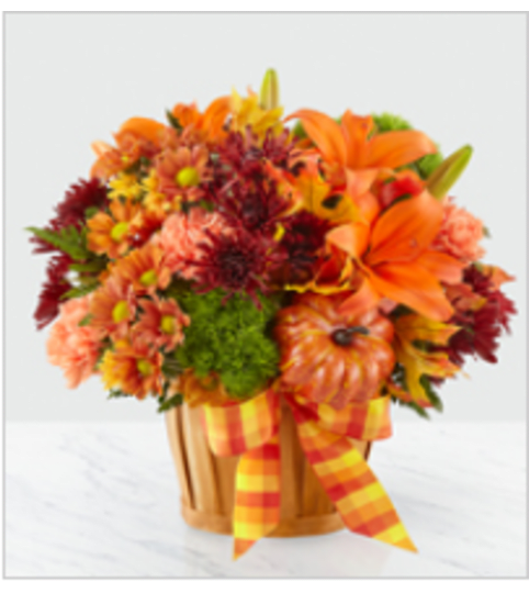 CELEBATE AUTUMN. An arrangement by Fine's Flowers. CELEBATE AUTUMN. An arrangement by Fine's Flowers.