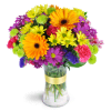 Radiant Rainbow™ - Standard. An arrangement by Fine's Flowers. Daisies, alstroemeria, carnations, and more are arranged in every shade of the...