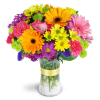 Radiant Rainbow™ - Deluxe. An arrangement by Fine's Flowers. Daisies, alstroemeria, carnations, and more are arranged in every shade of the rainbow..