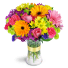 Radiant Rainbow™ - Premium. An arrangement by Fine's Flowers. Daisies, alstroemeria, carnations, and more are arranged in every shade of the rainbow..